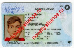 WYOMING 2023 POLYCARD